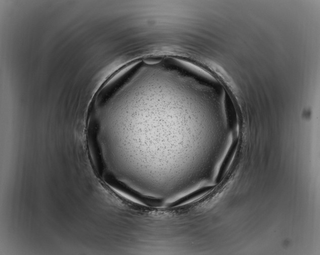 X0000101711089200807241450