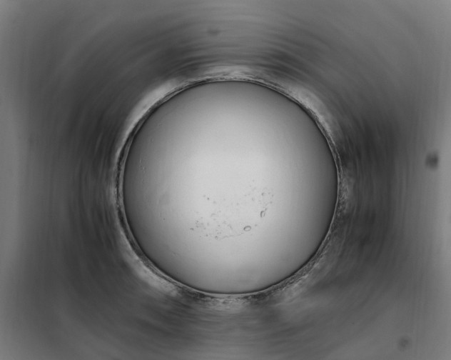 X0000101711090200807241450