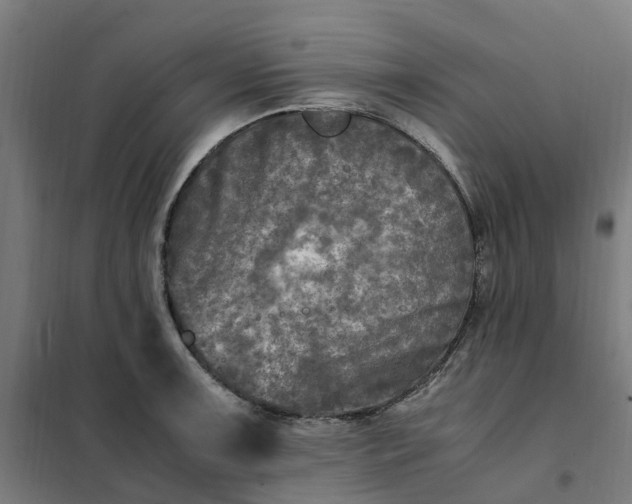 X0000101711091200807241450