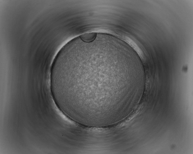 X0000101711092200807241450