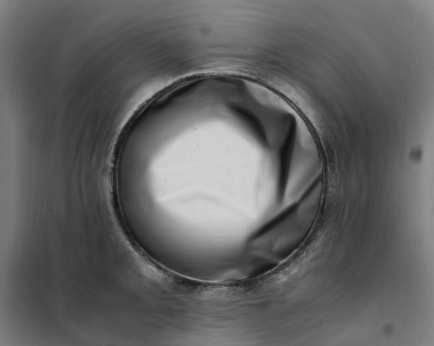 X0000101711093200807241450