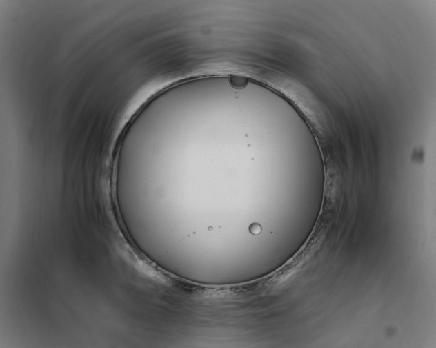 X0000101711094200807241450