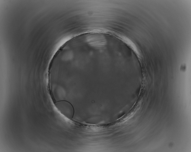 X0000101711095200807241450