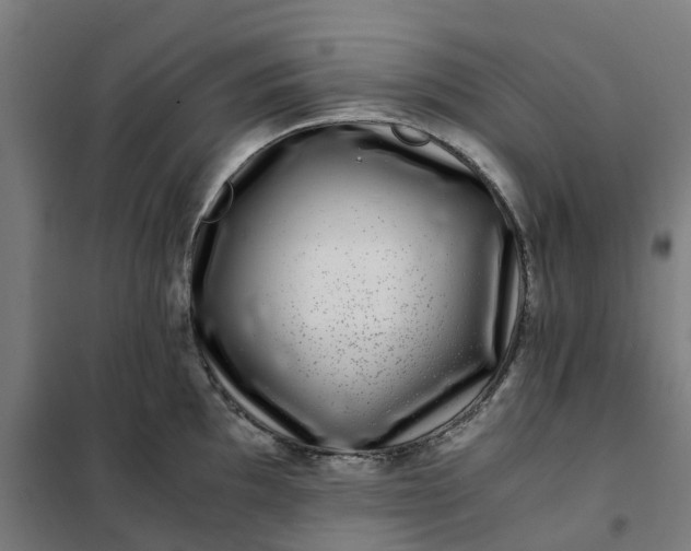 X0000101711097200807241450