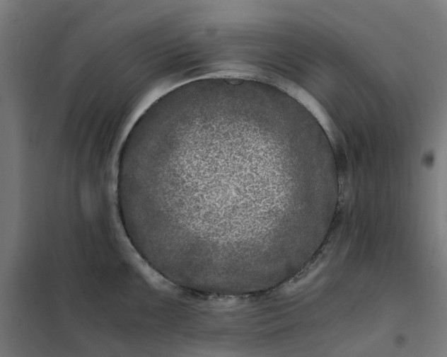 X0000101711099200807241450