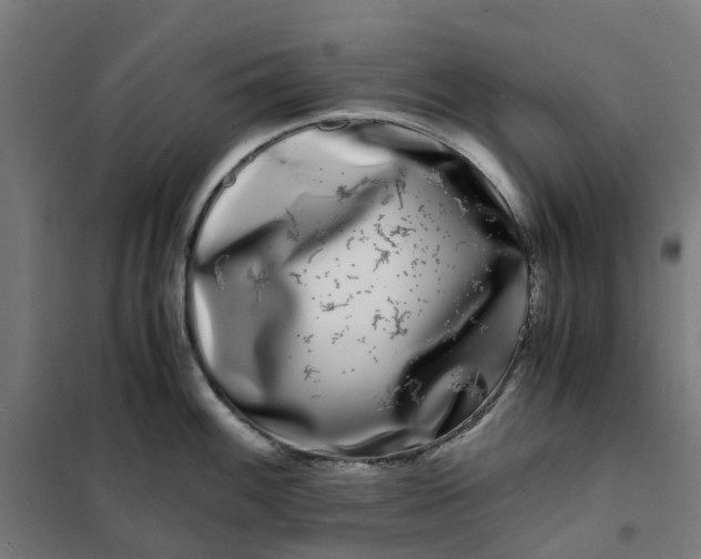 X0000101711100200807241450