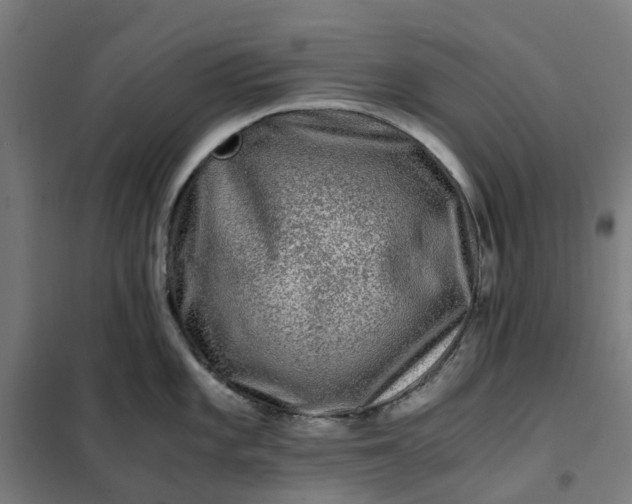 X0000101711101200807241450