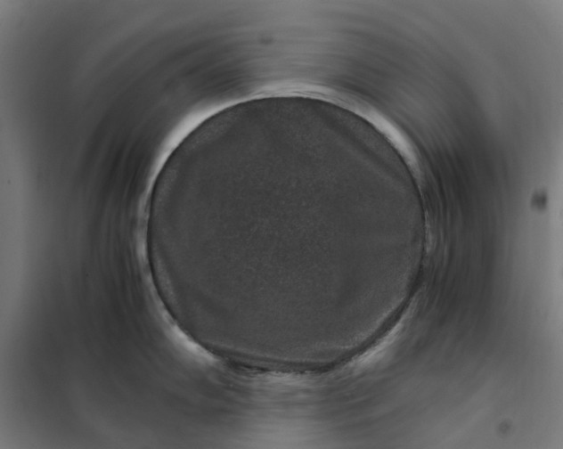 X0000101711102200807241450