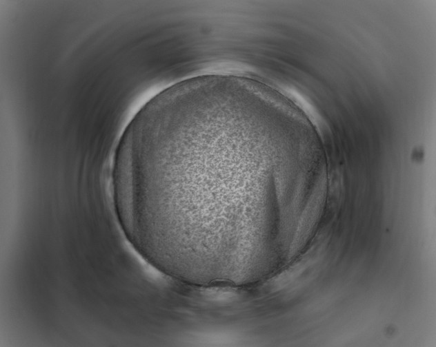 X0000101711103200807241450