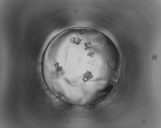 X0000101711104200807241450