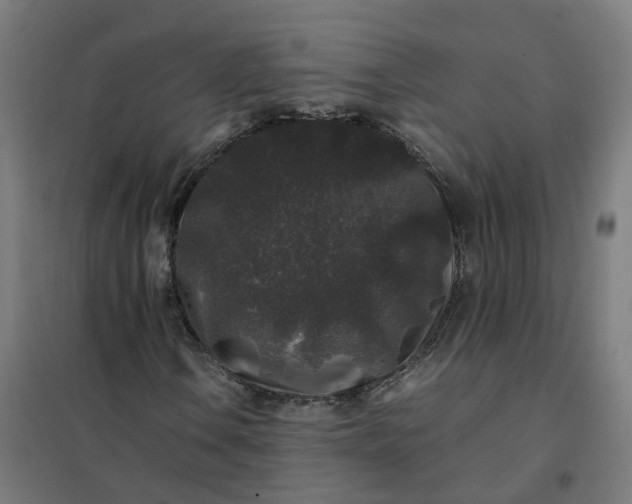 X0000101711106200807241449