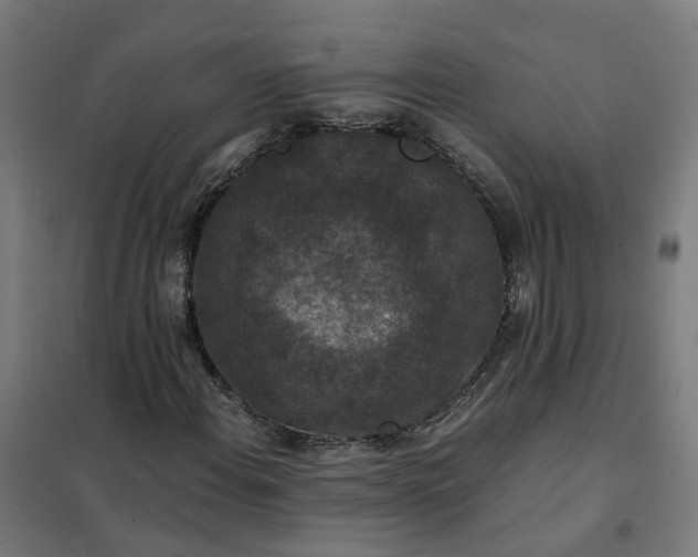 X0000101711108200807241449