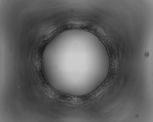 X0000101711109200807241449