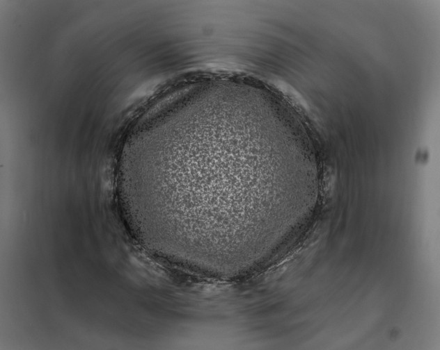 X0000101711110200807241449