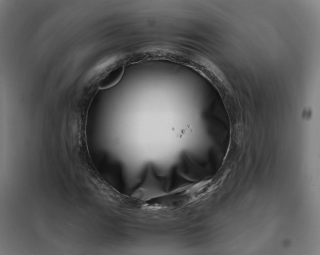 X0000101711111200807241449