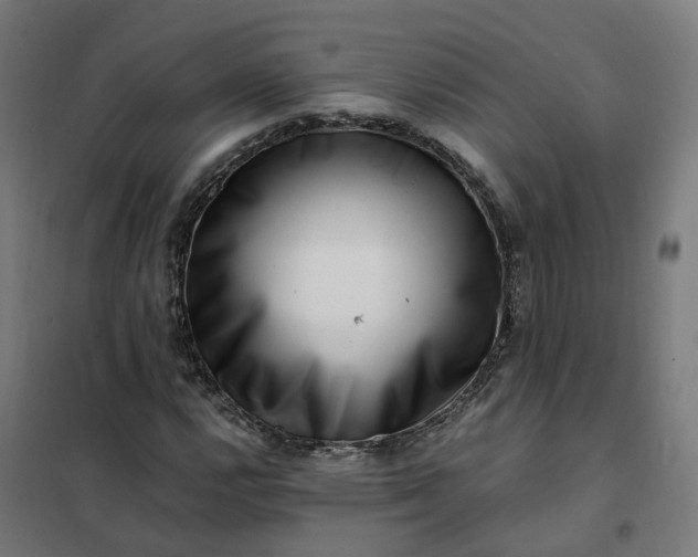 X0000101711112200807241449