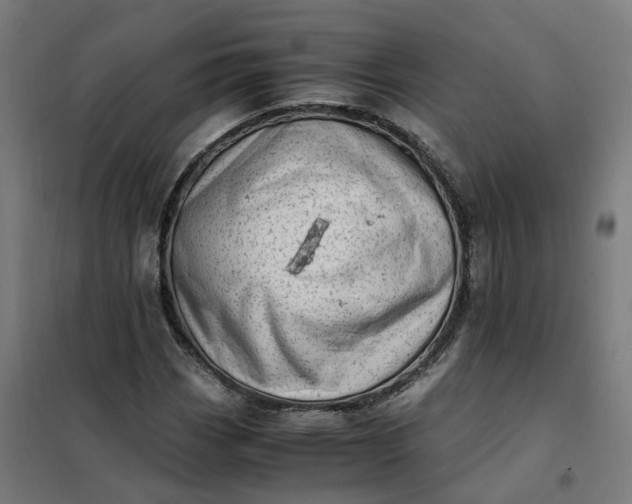 X0000101711113200807241449