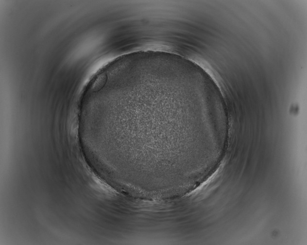 X0000101711115200807241449