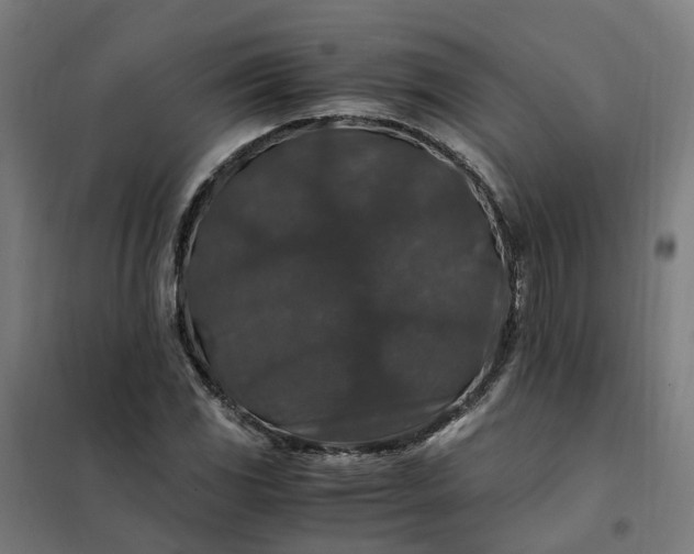 X0000101711117200807241449