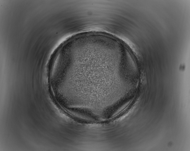 X0000101711118200807241449