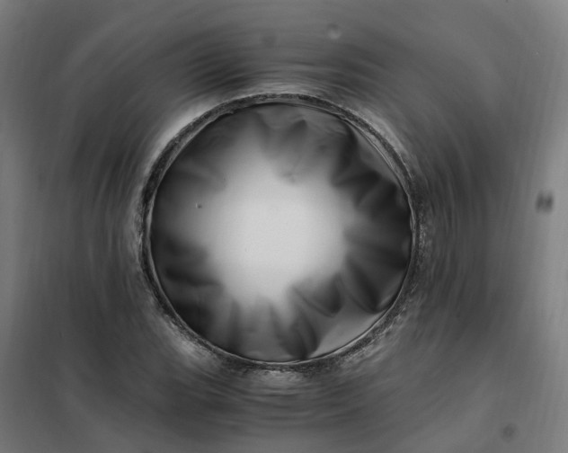 X0000101711119200807241449