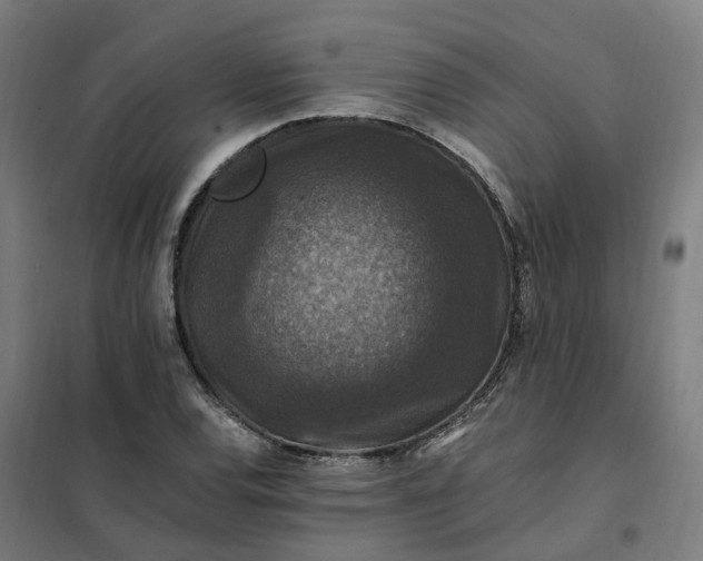 X0000101711120200807241449