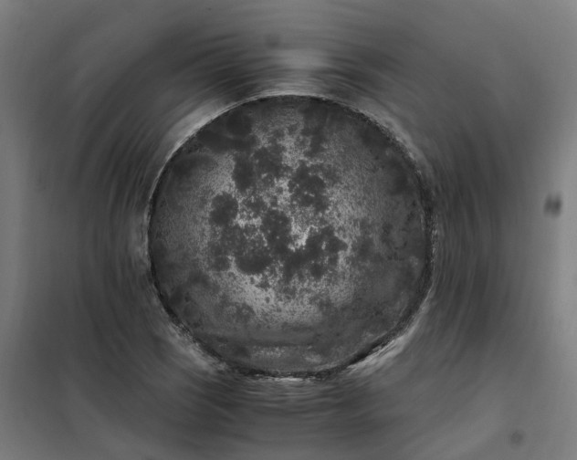 X0000101711121200807241449