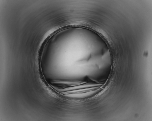 X0000101711122200807241449