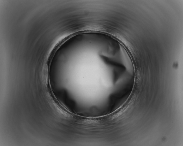 X0000101711123200807241449