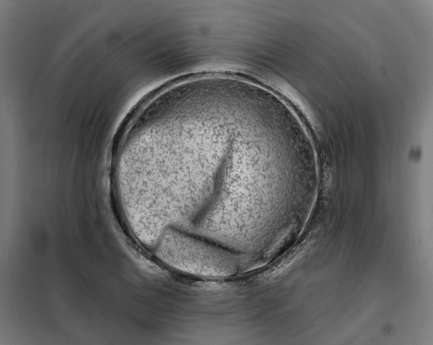 X0000101711124200807241449