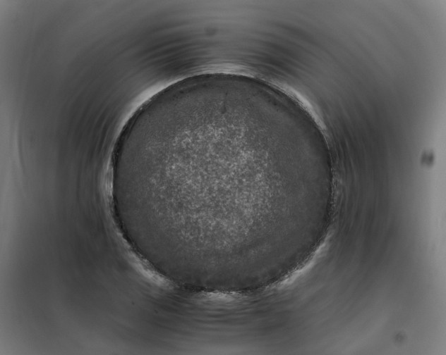 X0000101711125200807241449