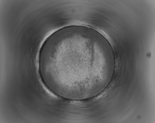 X0000101711128200807241449