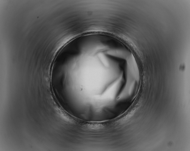 X0000101711129200807241450