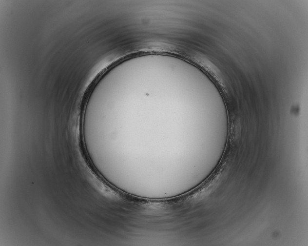 X0000101711130200807241450