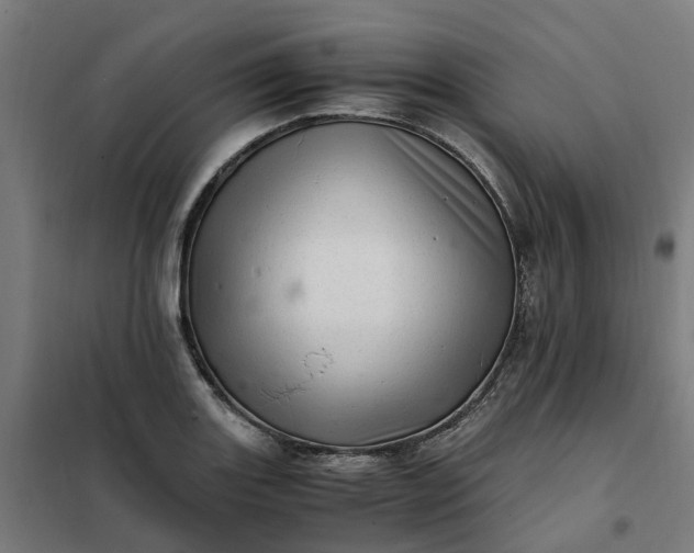 X0000101711131200807241450