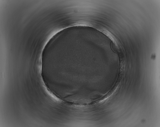 X0000101711132200807241450