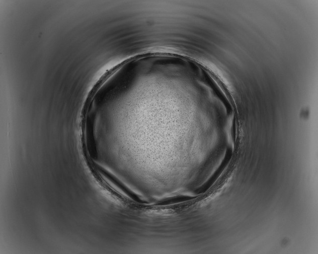 X0000101711133200807241450