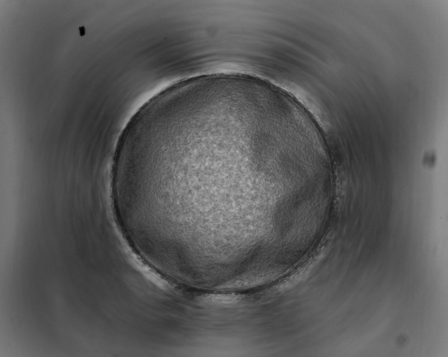 X0000101711134200807241450