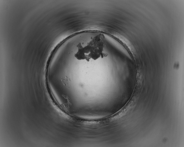 X0000101711135200807241450