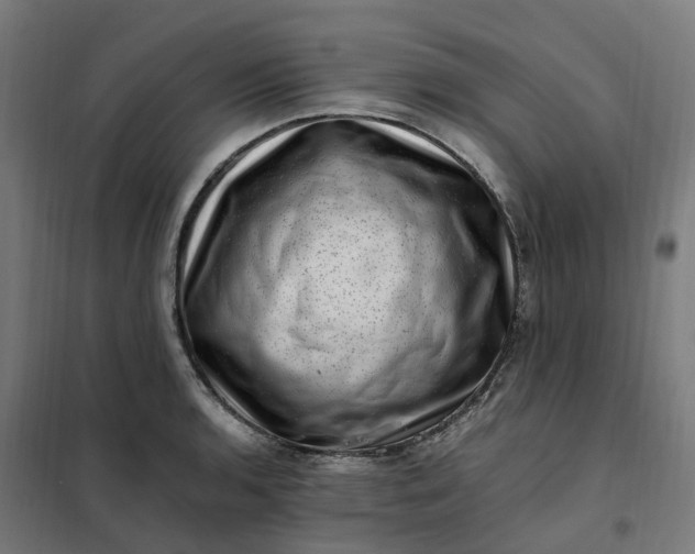 X0000101711136200807241450