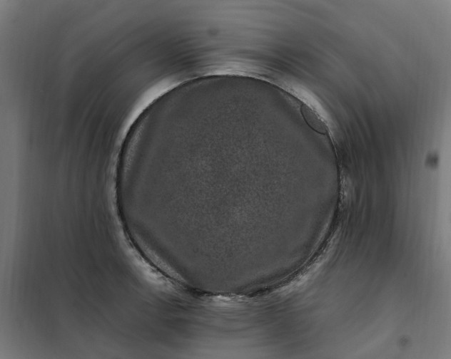 X0000101711138200807241450