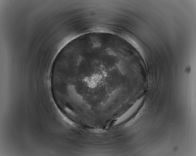 X0000101711141200807241450