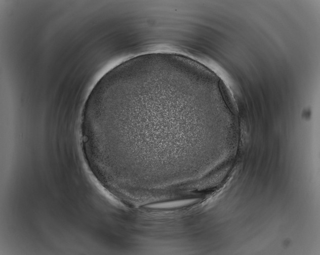 X0000101711142200807241450