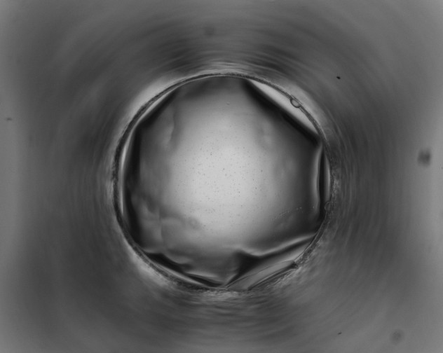 X0000101711143200807241450