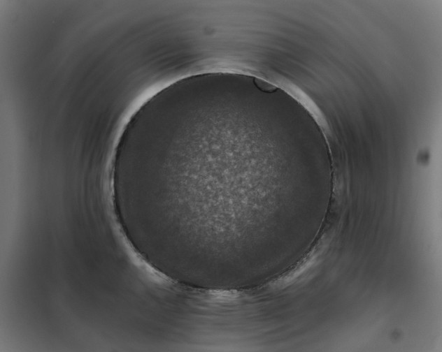 X0000101711144200807241450