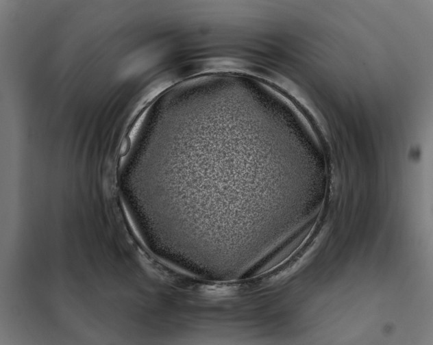 X0000101711145200807241450