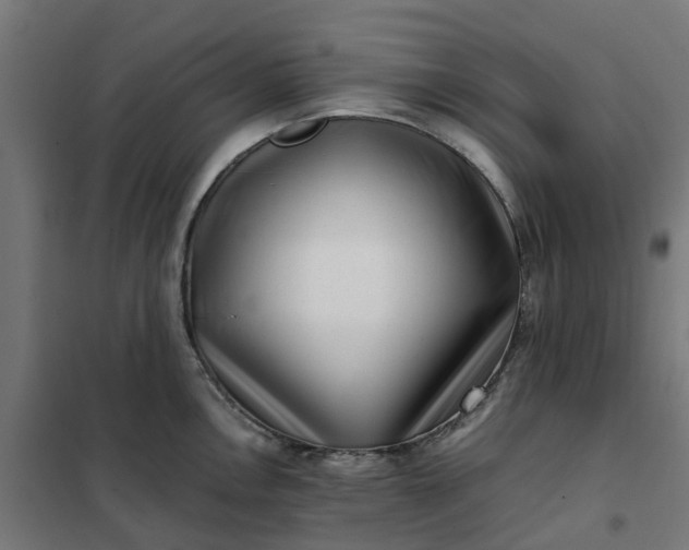 X0000101711146200807241450