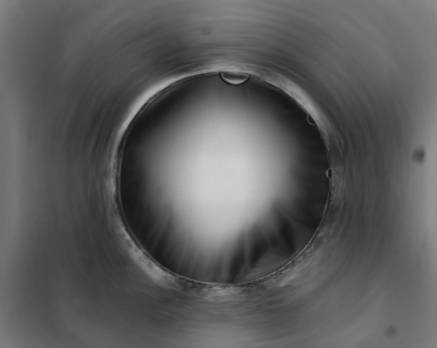 X0000101711148200807241450