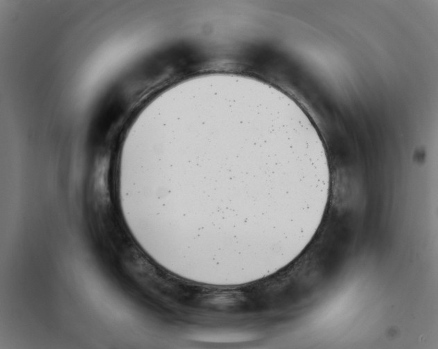 X0000101711150200807241450