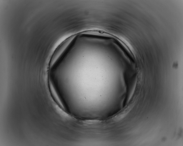 X0000101711151200807241450